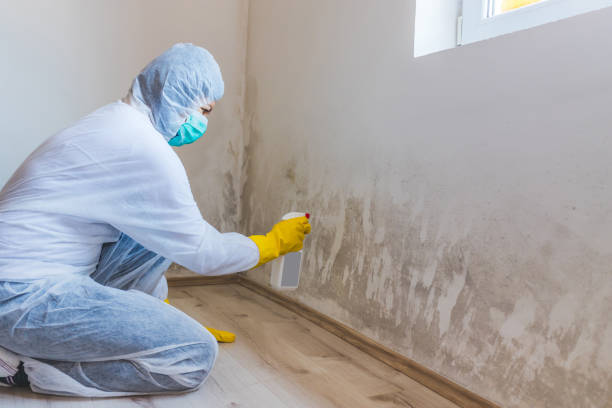 Mold Remediation specialist working in Linden